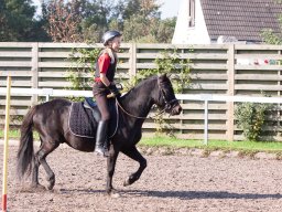 IMG_7126_web